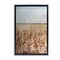 Stupell Industries Neutral Meadow Sprigs Framed Floater Canvas Wall Art Design by June Erica Vess